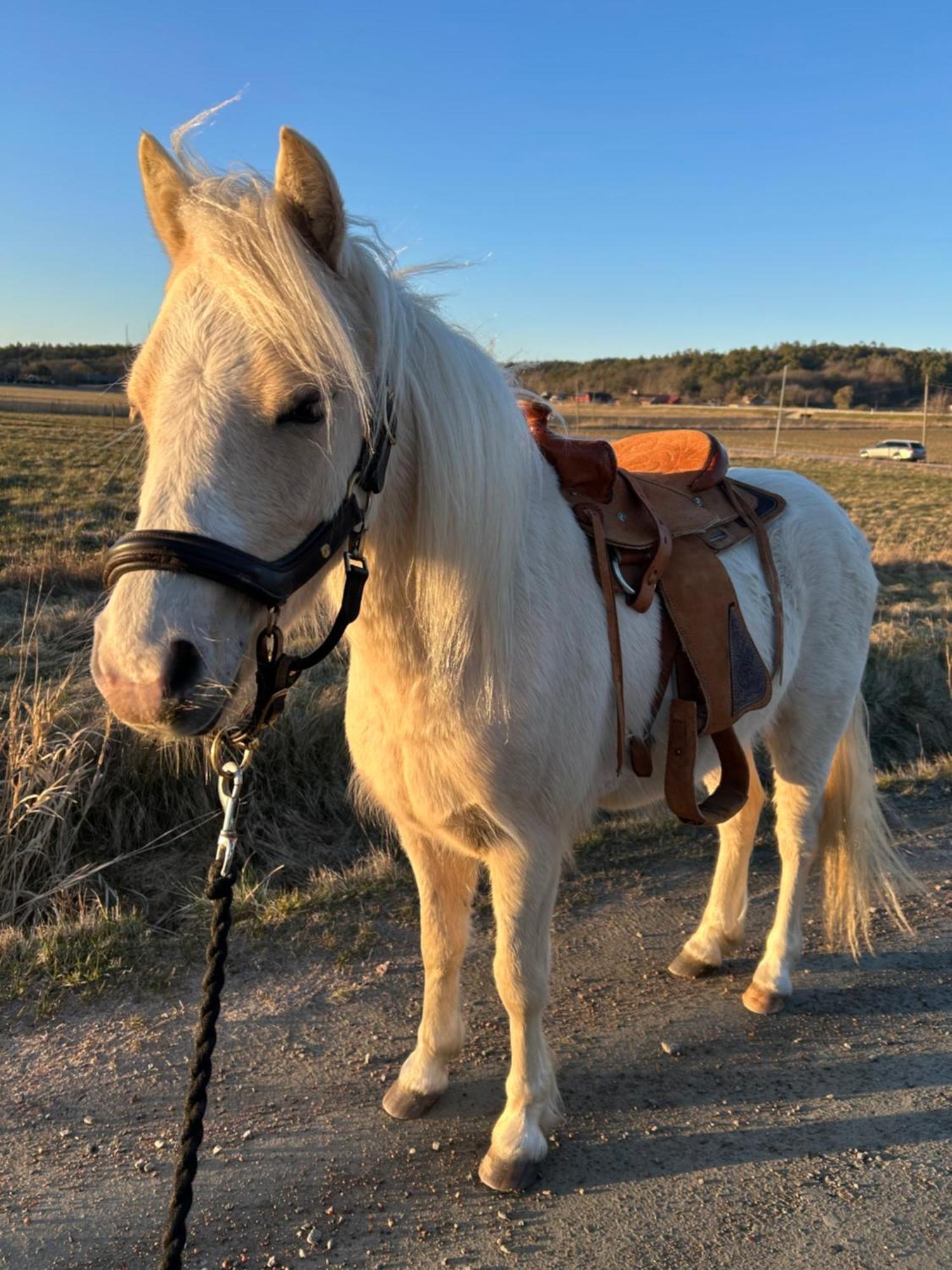 Johannas Ranch Lgh Ovan Stallet Kullavik Buitenkant foto